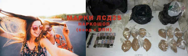 a pvp Гусев