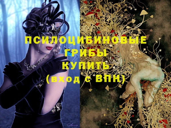 стаф Гусиноозёрск